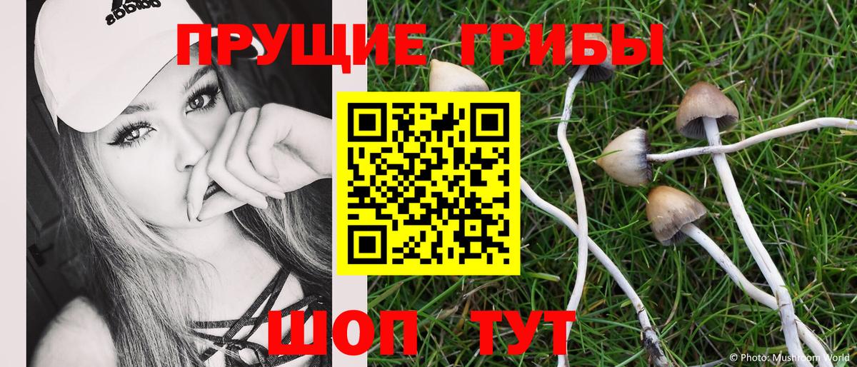 Галлюциногенные грибы GOLDEN TEACHER  Вход с VPN  Камышин 